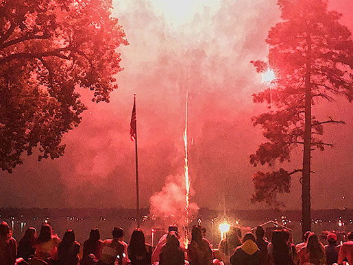 Fireworks display behind pine trees