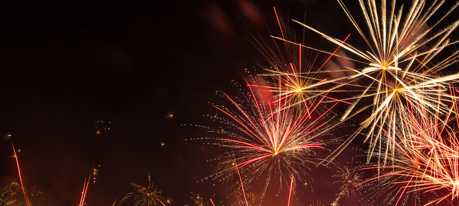 Shop Fireworks